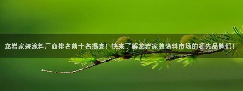 和记H88：龙岩家装涂料厂商排名前十名揭晓！快来了解龙岩家装涂料市场的领先品牌们！