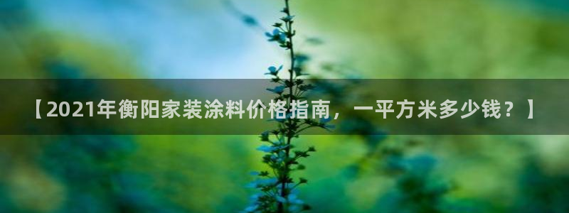 和记旗舰厅：【2021年衡阳家装涂料价格指南，一平方米多少钱？】