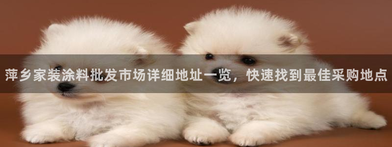 和记国际客服：萍乡家装涂料批发市场详细地址一览，快速找到最佳采购地点