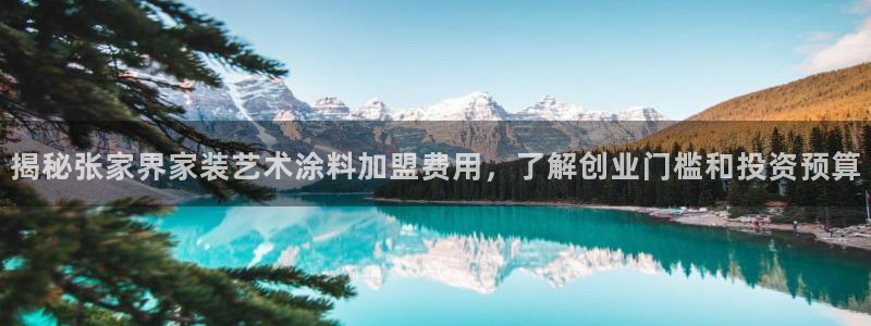和记官方：揭秘张家界家装艺术涂料加盟费用，了解创业门槛和投资预算