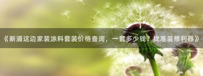 和记官网[中国]官方网站：《新浦这边家装涂料套装价格查询，一套多少钱？找准装修利器》