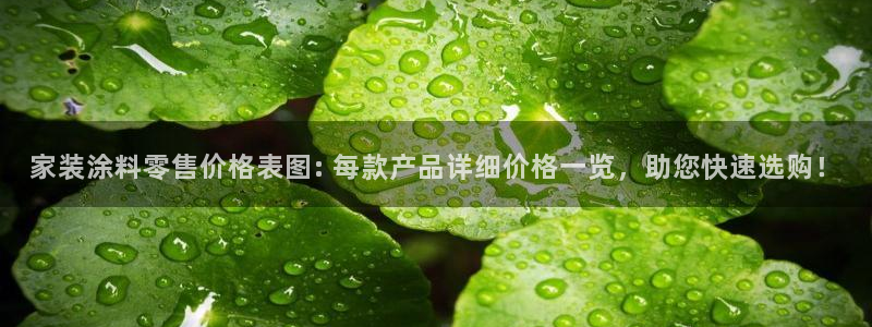 和记下载：家装涂料零售价格表图: 每款产品详细价格一览，助您快速选购！