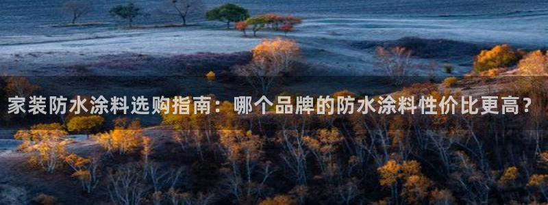 和记h188：家装防水涂料选购指南：哪个品牌的防水涂料性价比更高？