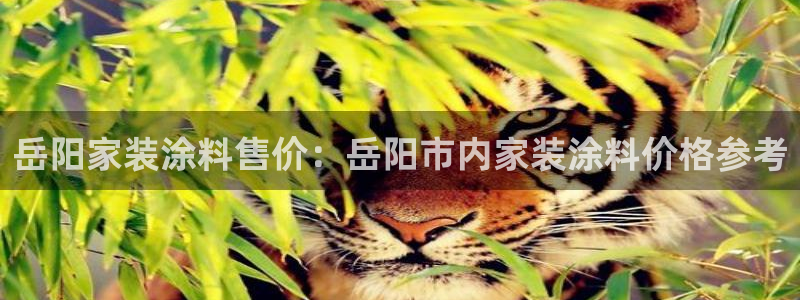 和记广告女主角