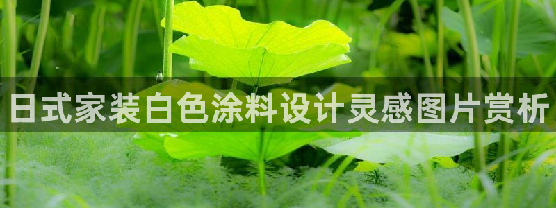 和记广告女主角