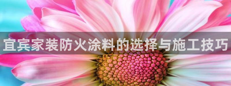 和记国际听