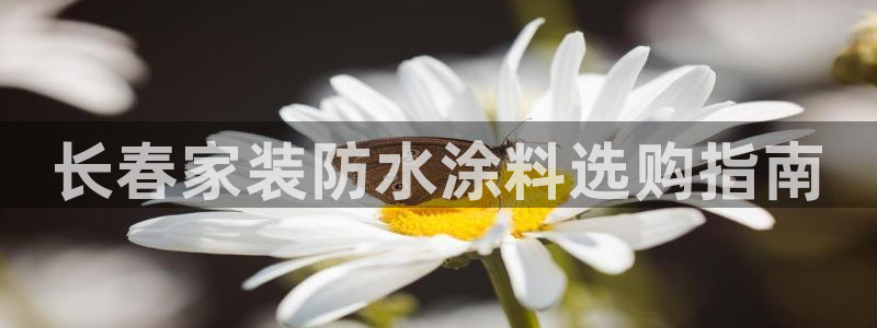 和记国际开户网站
