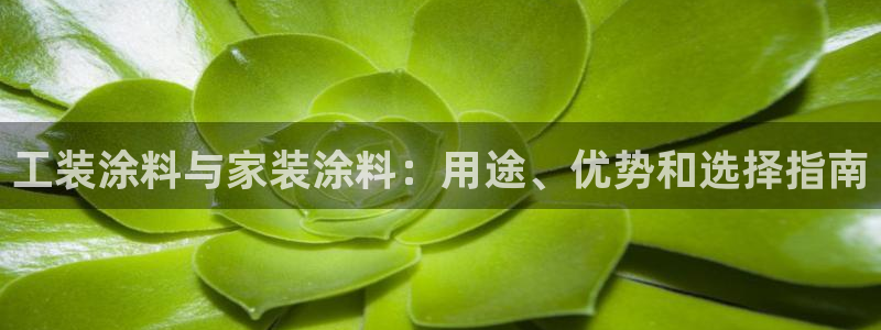 和记官方网址