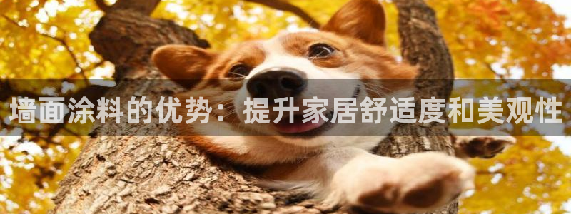 和记平台下载