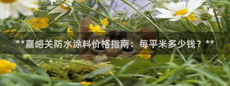 和记官方直营注册