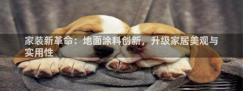 ag和记app：家装新革命：地面涂料创新，升级家居美观与
实用性