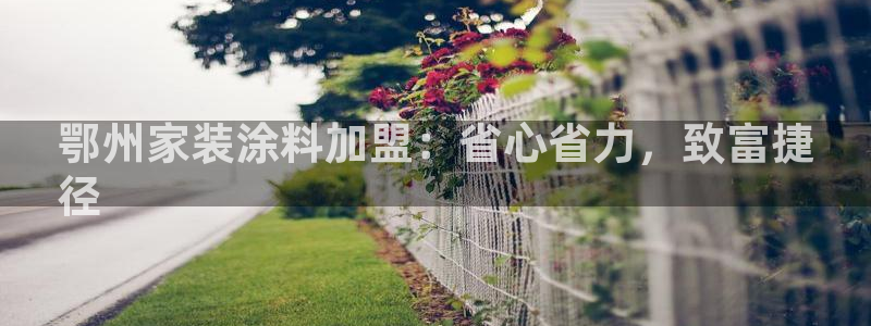 和记ag捕鱼害死多少人：鄂州家装涂料加盟：省心省力，致富捷
径