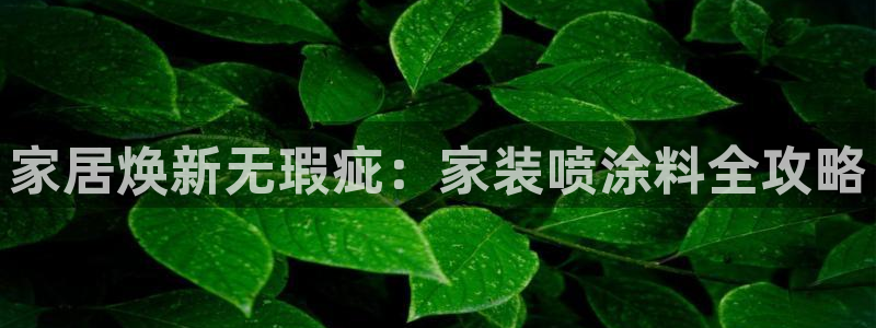 上海和记餐饮有限公司：家居焕新无瑕疵：家装喷涂料全攻略