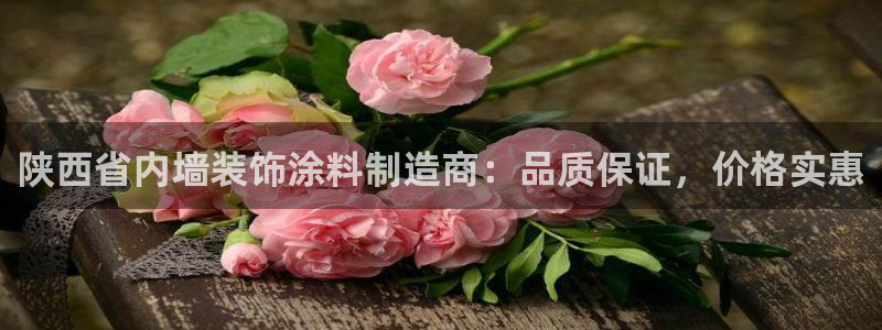 和记ag网页版：陕西省内墙装饰涂料制造商：品质保证，价格实惠