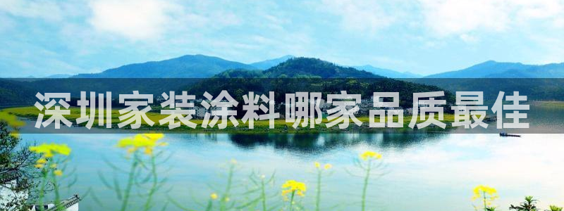 和记官网首页：深圳家装涂料哪家品质最佳