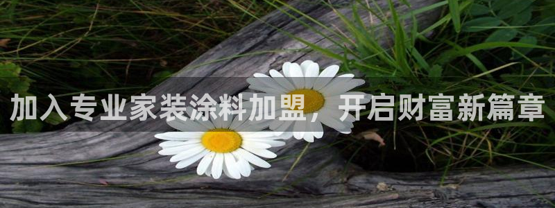 和记ag捕鱼害死多少人：加入专业家装涂料加盟，开启财富新篇章