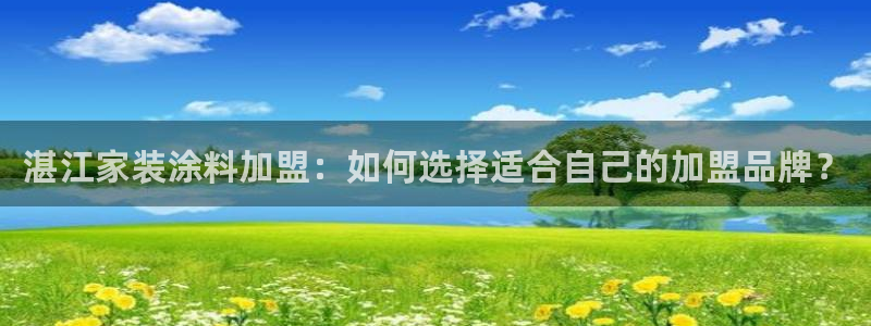 和记AG网站：湛江家装涂料加盟：如何选择适合自己的加盟品牌？