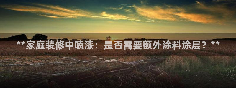 江苏和记数码科技有限公司：**家庭装修中喷漆：是否需要额外涂