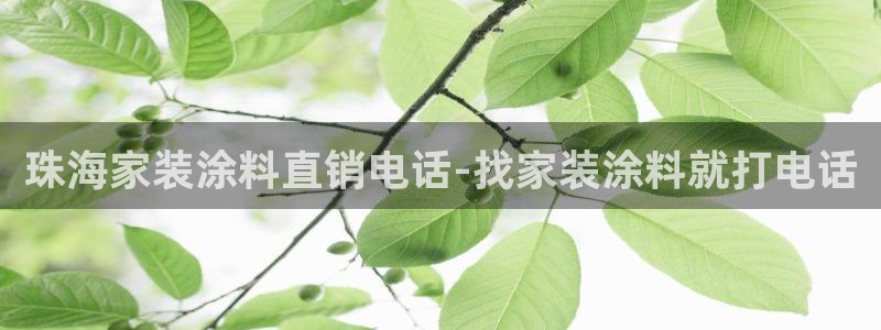 和记平台官网：珠海家装涂料直销电话-找家装涂料就打电话