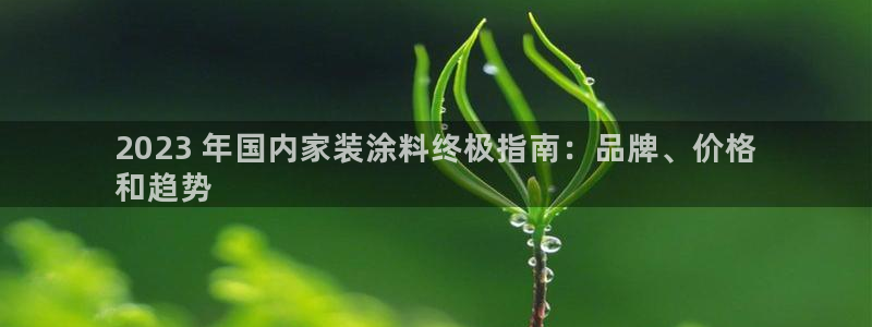 深圳和记科技有限公司：2023 年国内家装涂料终极指南：品牌、价格
和趋势