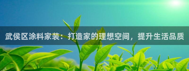 和记hj：武侯区涂料家装：打造家的理想空间，提升生活品质