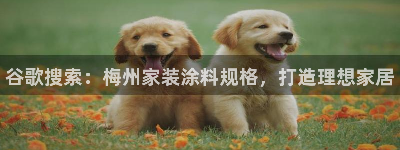 官方和记国际平台登录：谷歌搜索：梅州家装涂料规格，打造理想家居