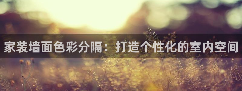江苏和记餐饮有限公司：家装墙面色彩分隔：打造个性化的室内空间