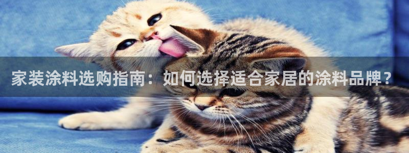 和记2017app