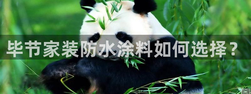 和记网页版：毕节家装防水涂料如何选择？