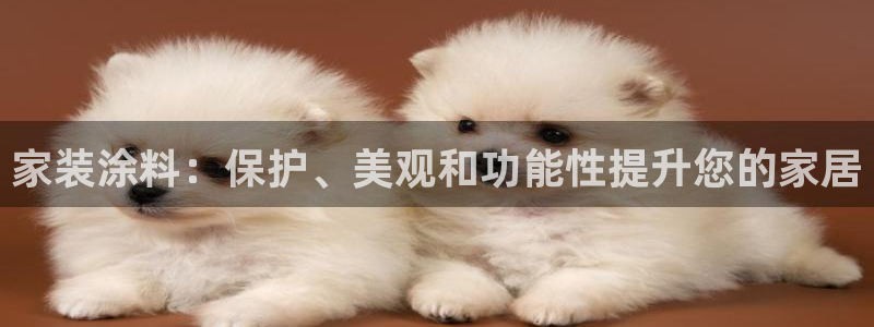 和记登陆：家装涂料：保护、美观和功能性提升您的家居
