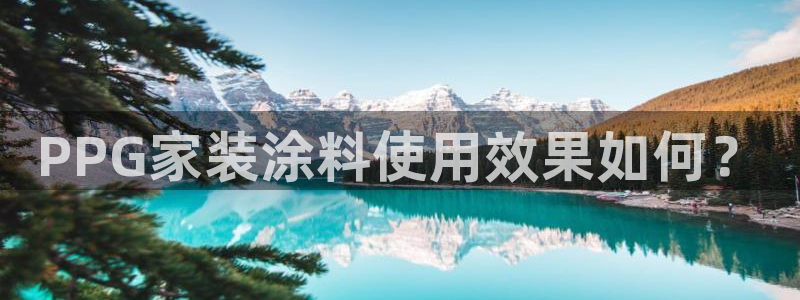 和记国际电讯市值：PPG家装涂料使用效果如何？