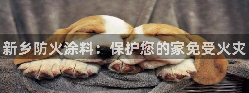 和记ag旗舰
